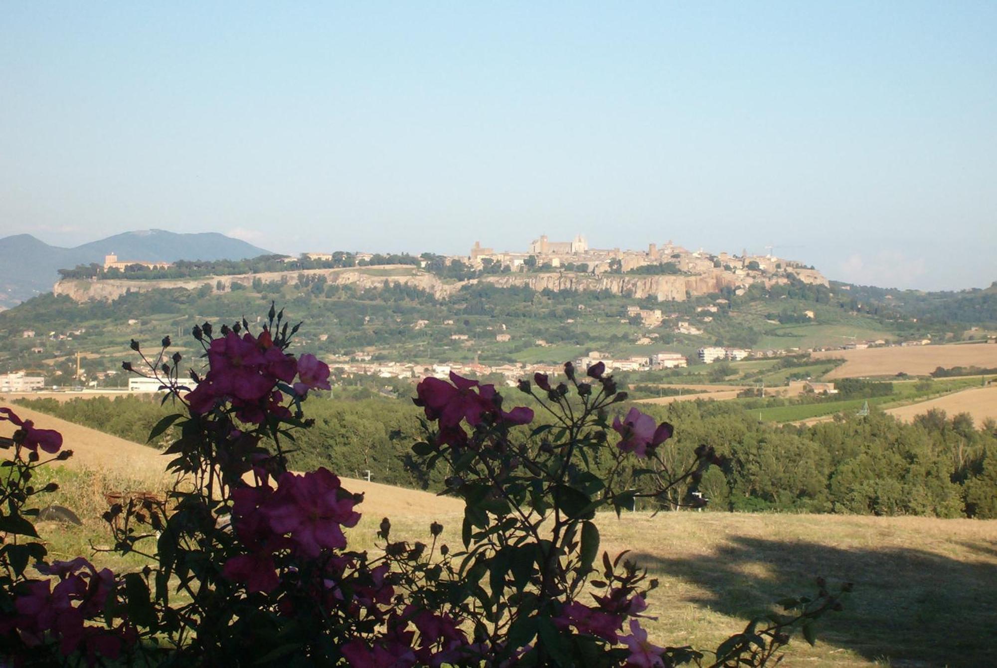 Agriturismo Cioccoleta Orvieto Eksteriør bilde