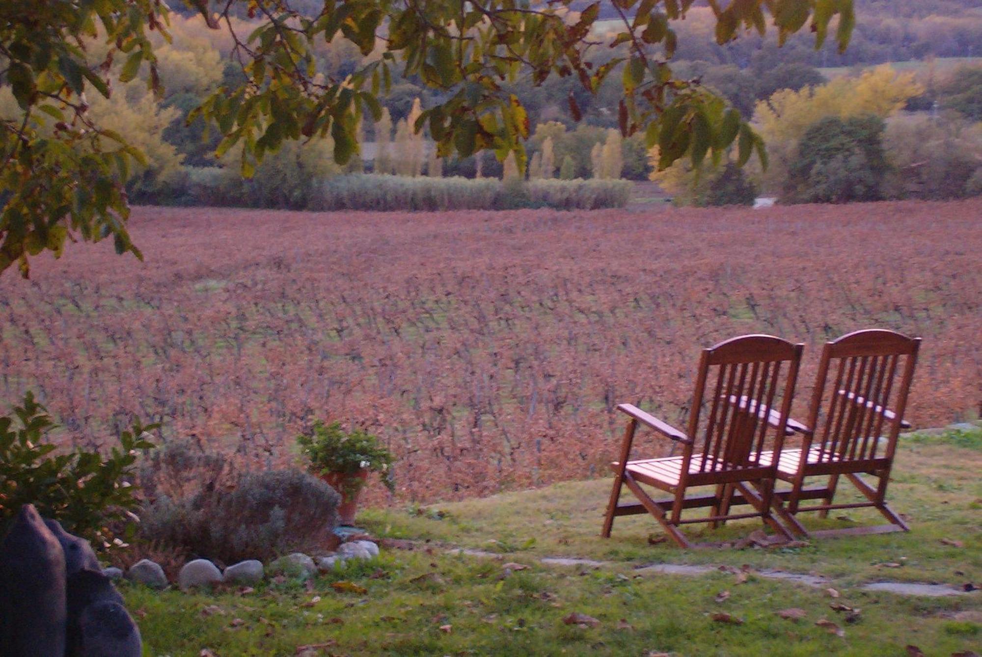 Agriturismo Cioccoleta Orvieto Eksteriør bilde