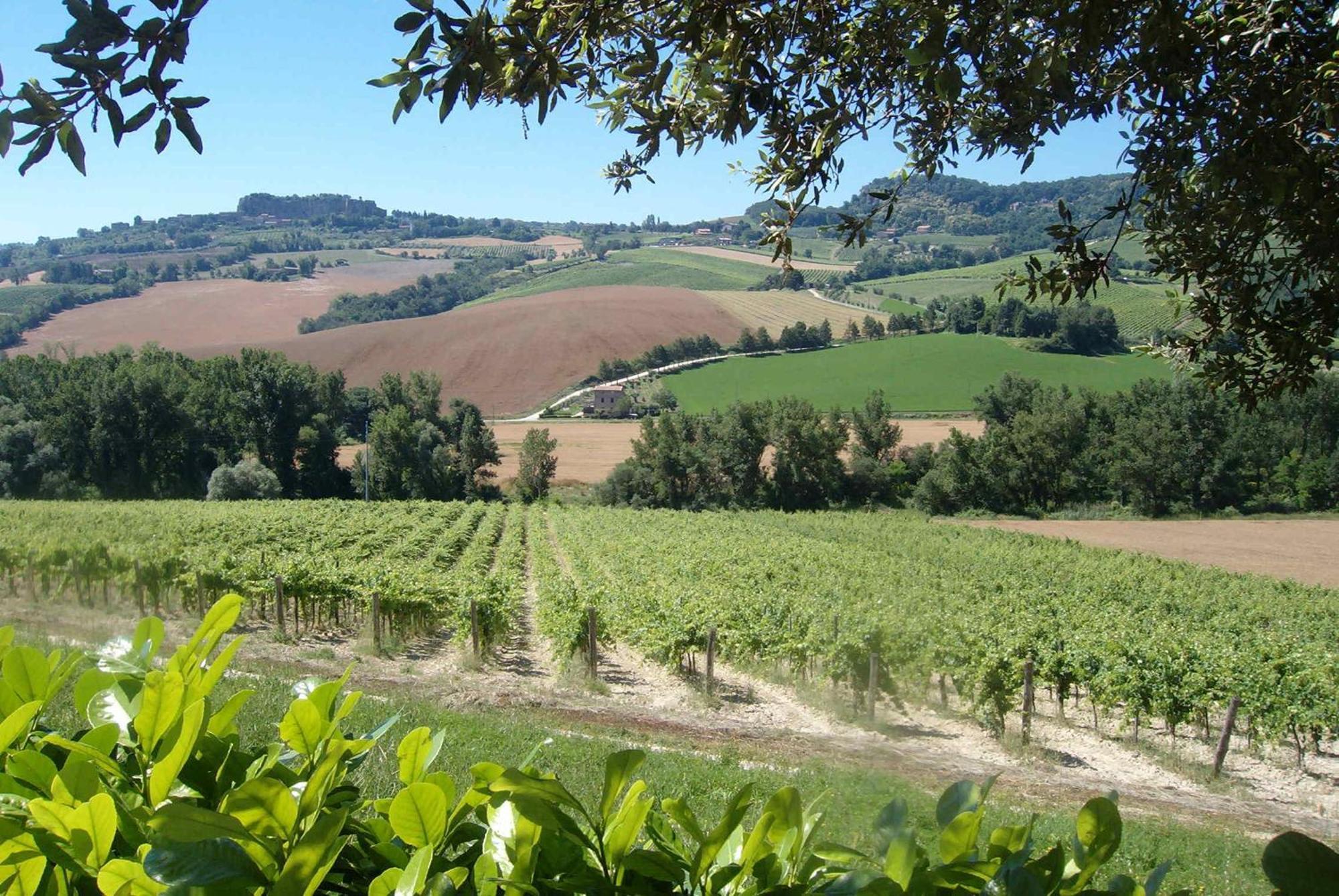 Agriturismo Cioccoleta Orvieto Eksteriør bilde
