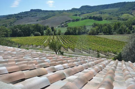 Agriturismo Cioccoleta Orvieto Eksteriør bilde